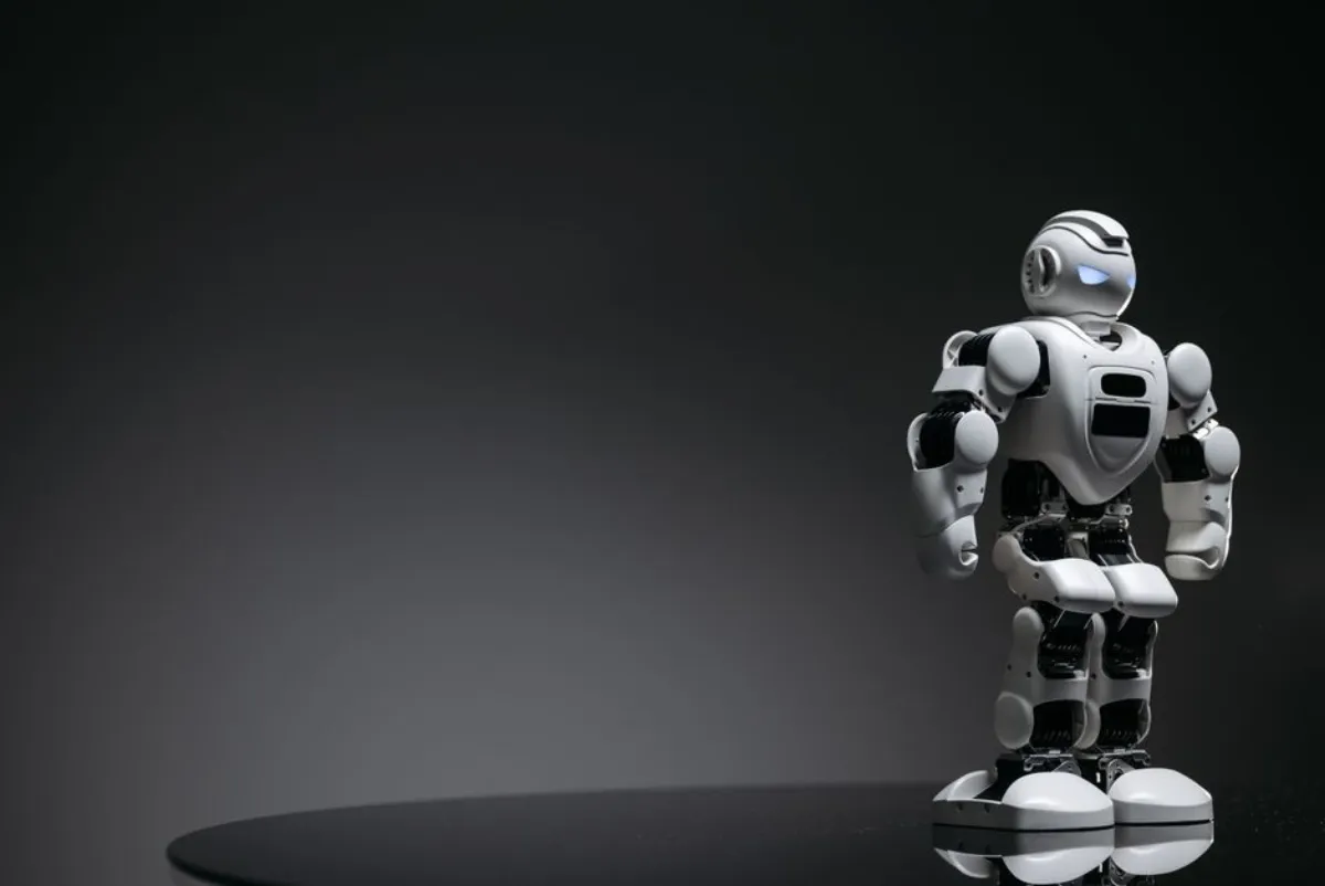 humanoid robot